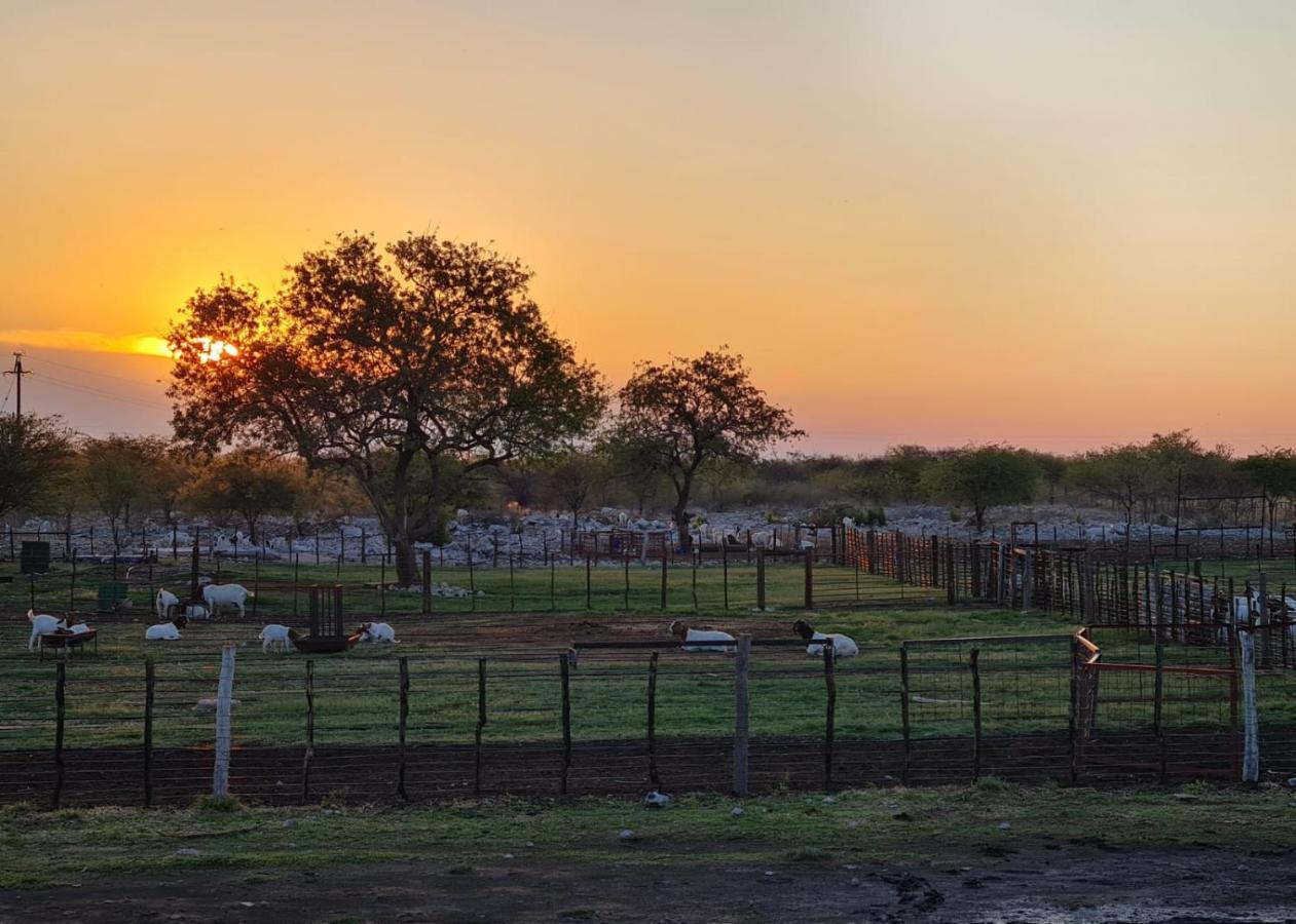 Tamboti Farm Accommodation ツメブ エクステリア 写真