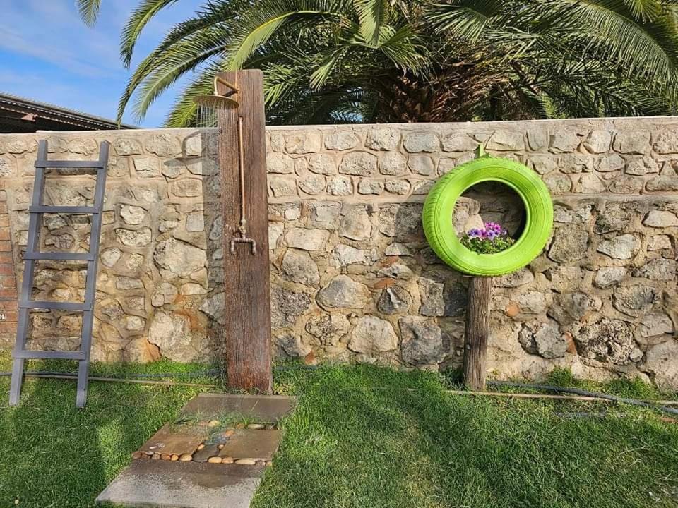Tamboti Farm Accommodation ツメブ エクステリア 写真
