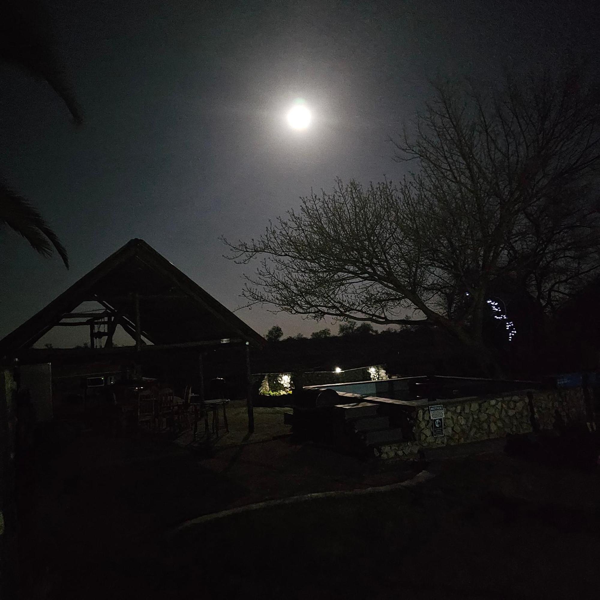 Tamboti Farm Accommodation ツメブ エクステリア 写真