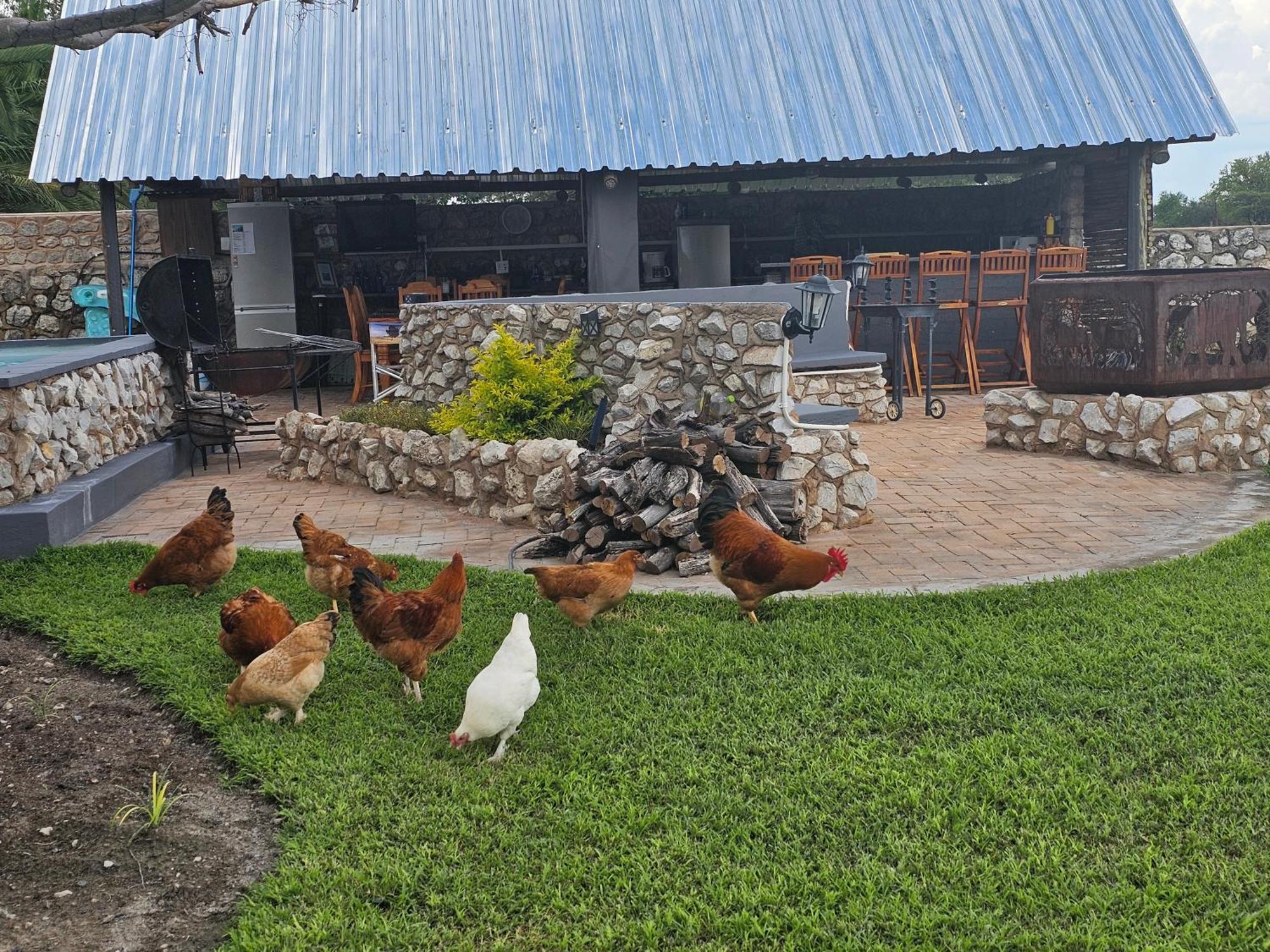 Tamboti Farm Accommodation ツメブ エクステリア 写真